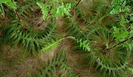 Flettet_gr_s_side_19-1