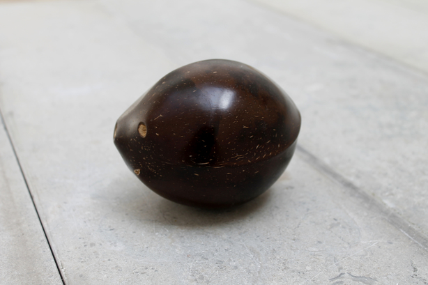 SS13 RESORT - kokosnød